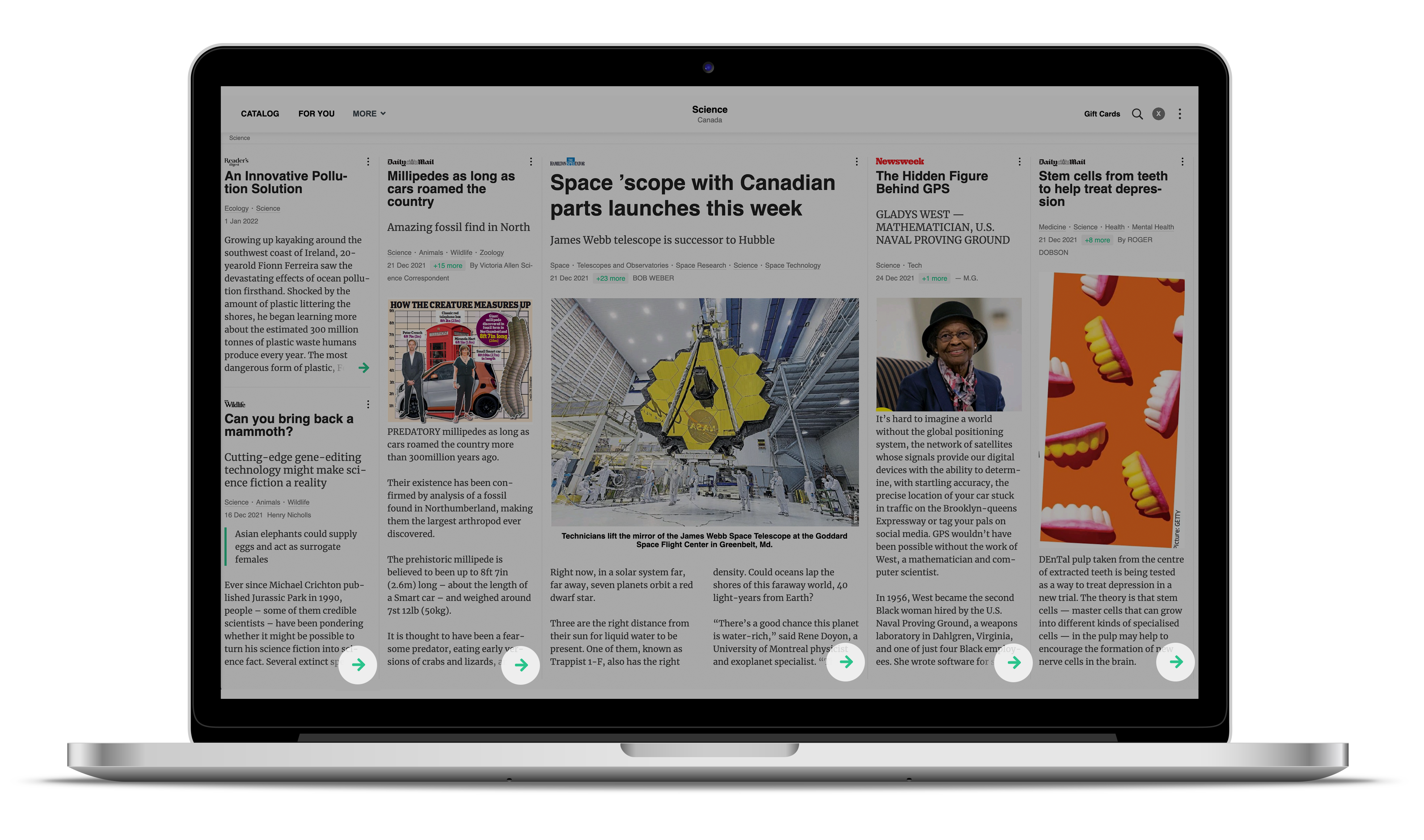 THE NEW SOCIAL - PressReader